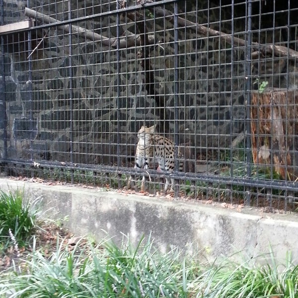 8/15/2013에 Dennecia C.님이 Brandywine Zoo에서 찍은 사진
