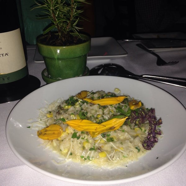 Get the sunflower risotto and trout! Extremely delicious.