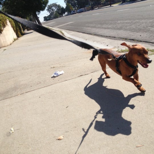 Chase Bank Bank in Temple City
