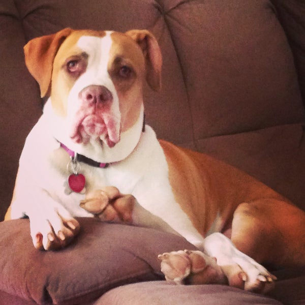 House Springs, MO House Springs, MO