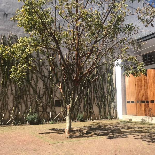 1/8/2019 tarihinde Naya F.ziyaretçi tarafından Centro Cultural San Pablo'de çekilen fotoğraf