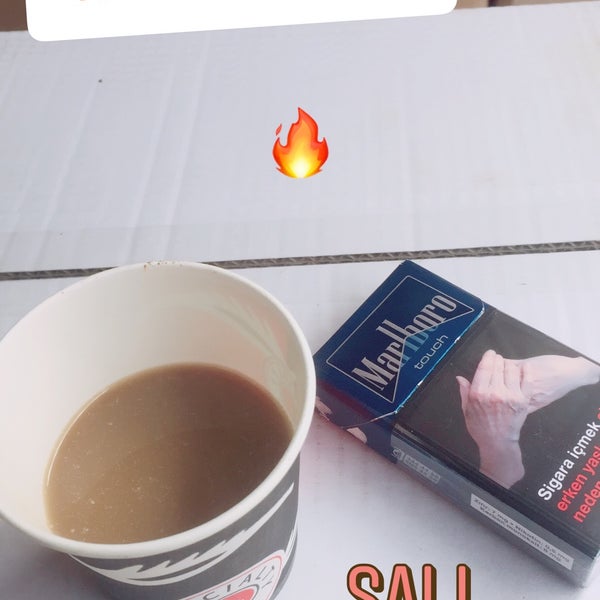 kaşar insan ne demek en seksi tuerk