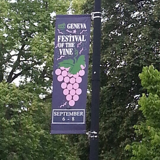 Festival Of The Vines 3 tips from 125 visitors