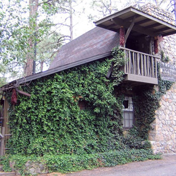 Photos At Bear Creek Motel Cabins 4 Tips