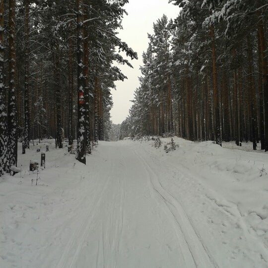 Лыжная база снежинка анжеро судженск