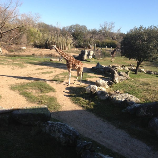 Снимок сделан в Cameron Park Zoo пользователем Leah V. 3/2/2013