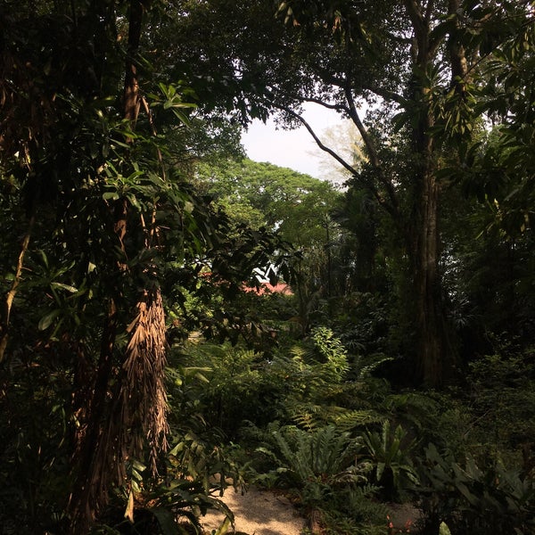 4/25/2019 tarihinde Junaidah Z.ziyaretçi tarafından Tropical Spice Garden'de çekilen fotoğraf
