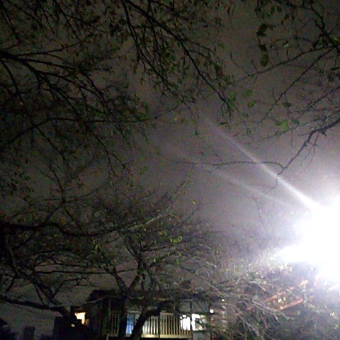 辻堂駅前公園 藤沢市 神奈川県