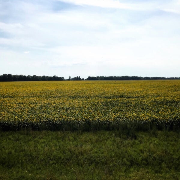 дороги гуляйполе. курган бабий бугор в куртамышском районе. марковка луганская область на карте украины. курган пологи. курган пологи.