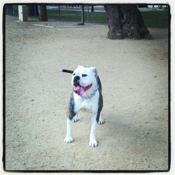 Moorpark Dog Park (Official) Dog Park in Moorpark