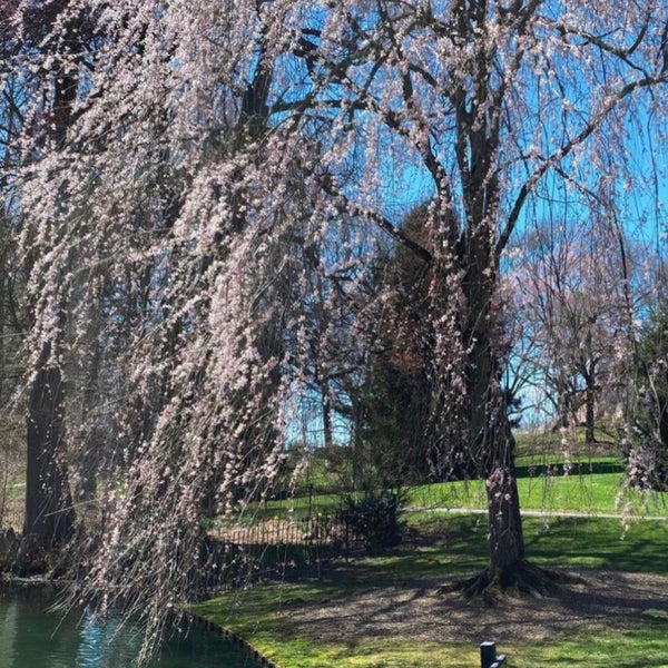 4/6/2023에 🦦 ♏ 🎓님이 Longwood Gardens에서 찍은 사진