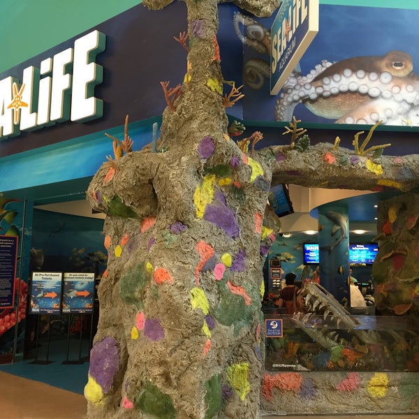 10/13/2015에 Paul D.님이 SEA LIFE Grapevine Aquarium에서 찍은 사진