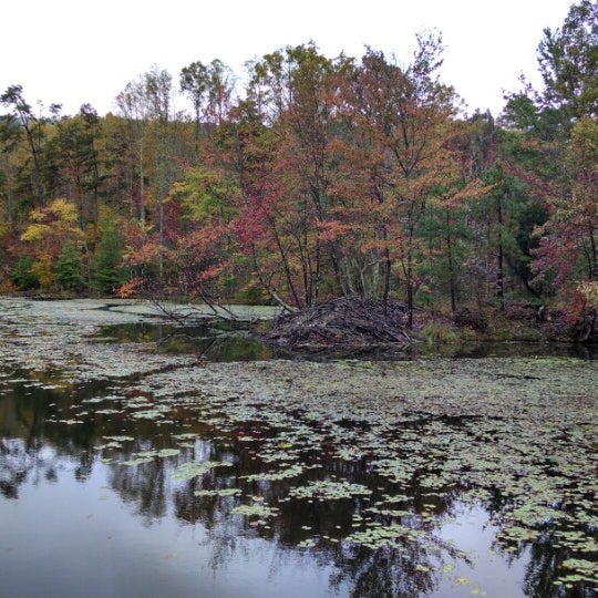 Bays Mountain Barge Ride 13 visitors