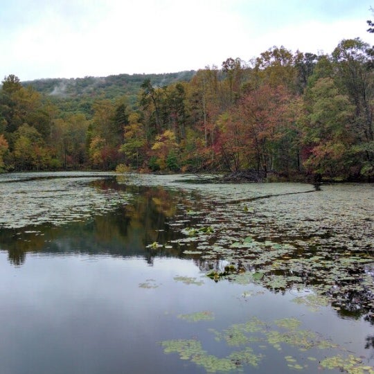 Bays Mountain Barge Ride 13 visitors