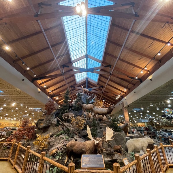 Cabellas scarborough deals