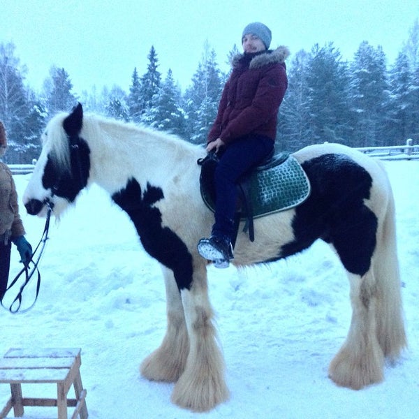 Гостевые дома вокнаволок. Кормило. Карельская деревня вокнаволок. Кормило хутор костомукша. Кормило.