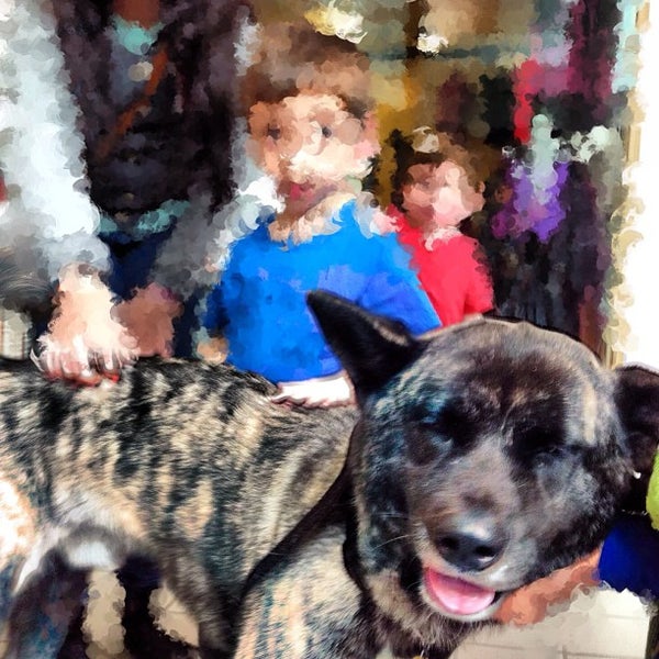 Little Shelter Animal Rescue & Adoption Center Huntington, NY