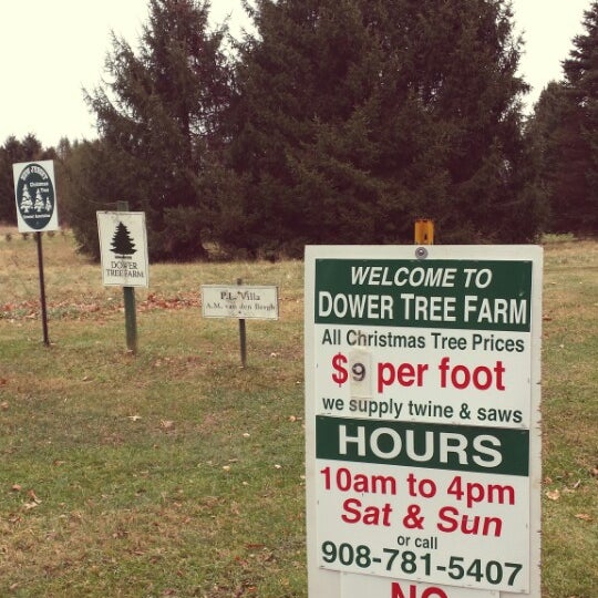 картинки одинокое сухое дерево. Tree farm. Tree farm перевод. Tree farm. Peace tree farm.