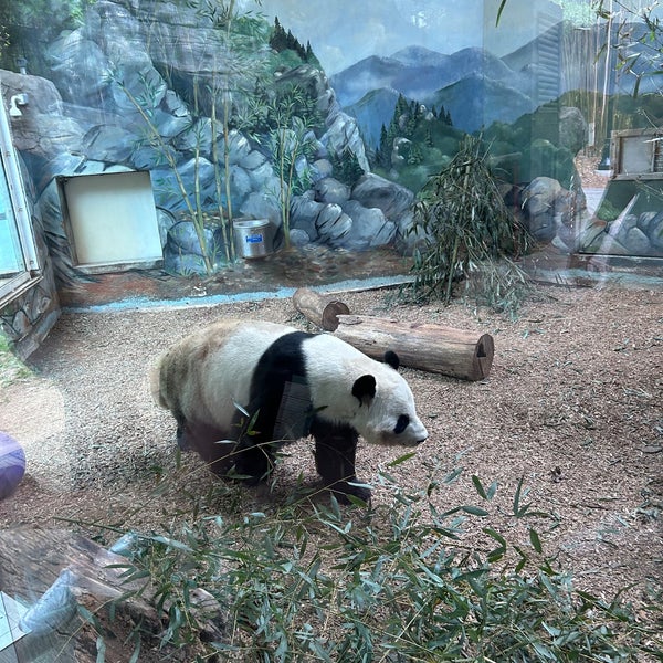 Снимок сделан в Zoo Atlanta пользователем Betsy S. 4/1/2023