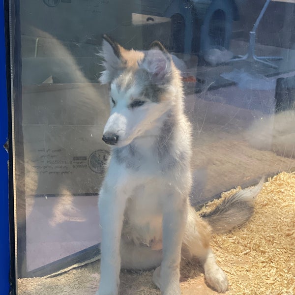 1/18/2021にRがJoon Veterinary Clinic &amp; Pet Shopで撮った写真