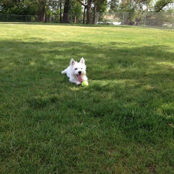 Grand haven dog park Dog Park in Grand Haven