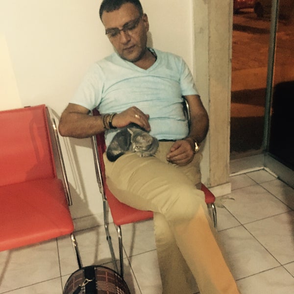 9/9/2016 tarihinde Mehmet Y.ziyaretçi tarafından Cat Hospital Kedi Hastanesi'de çekilen fotoğraf