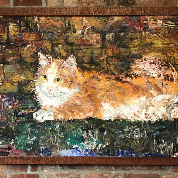 Prospect Heights Animal Hospital Veterinarian in Prospect Heights