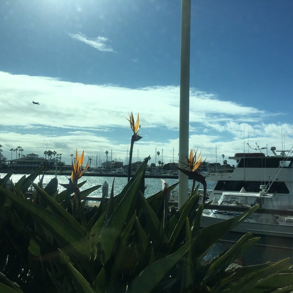 Photo taken at Boathouse on the Bay by Ann P. on 2/10/2019
