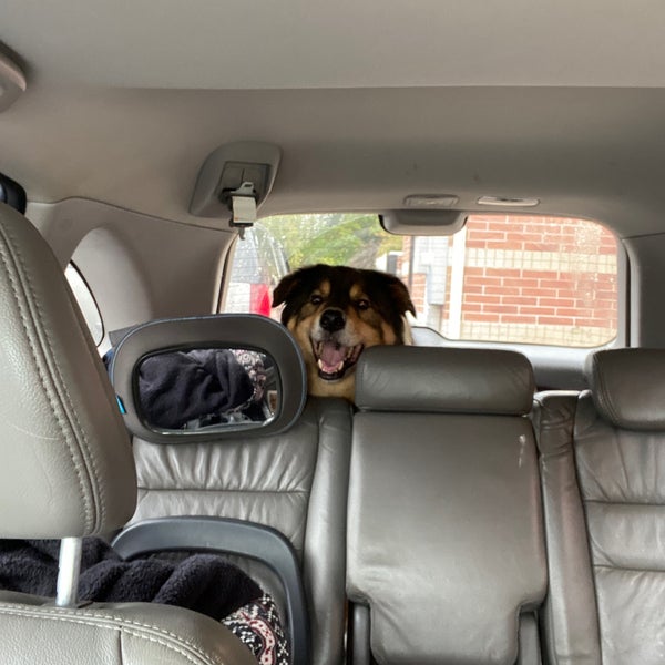 Family Friends Vet Clinic atelieryuwa.ciao.jp