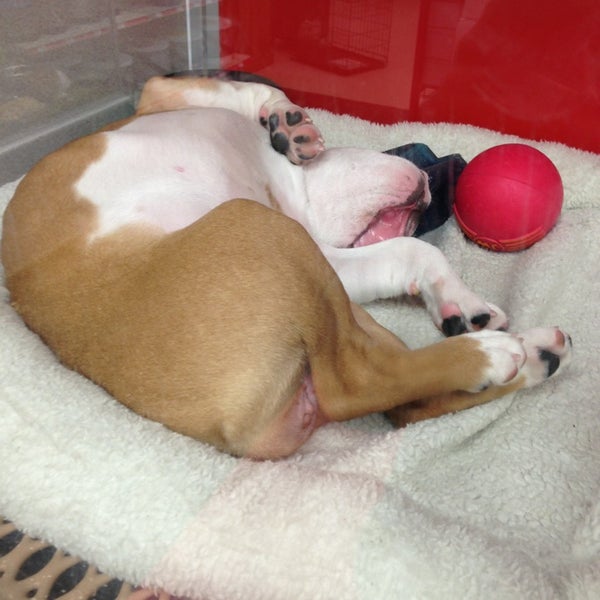 Photos at Uncle Bill's Pet Centers Greenwood Pet Supplies Store