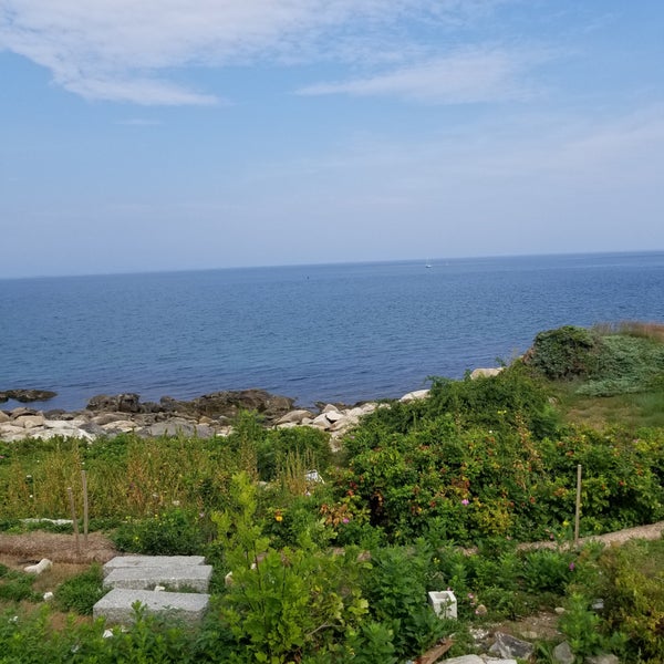 Lobster Cove Annisquam 51 visitors