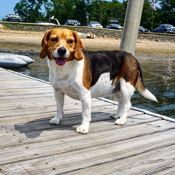 Photo taken at The Clam Bar at Bridge Marina by John H. on 7/30/2016