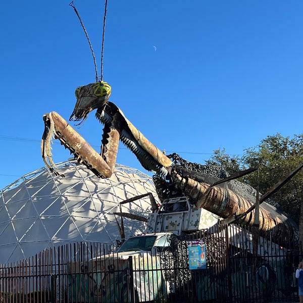 Nevada Reno Mantis Praying Mantis - Downtown Las Vegas - Las Vegas, NV