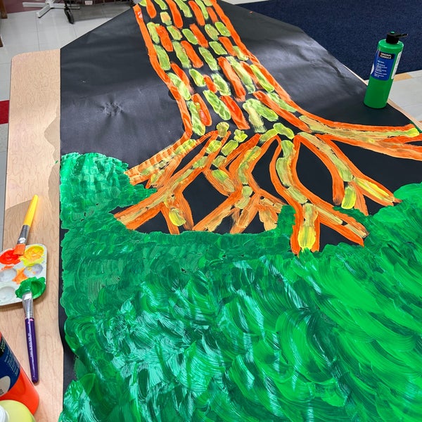 Paddock Elementary School 1 tavsiye