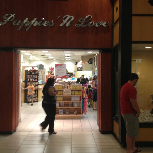 arrowhead puppy store