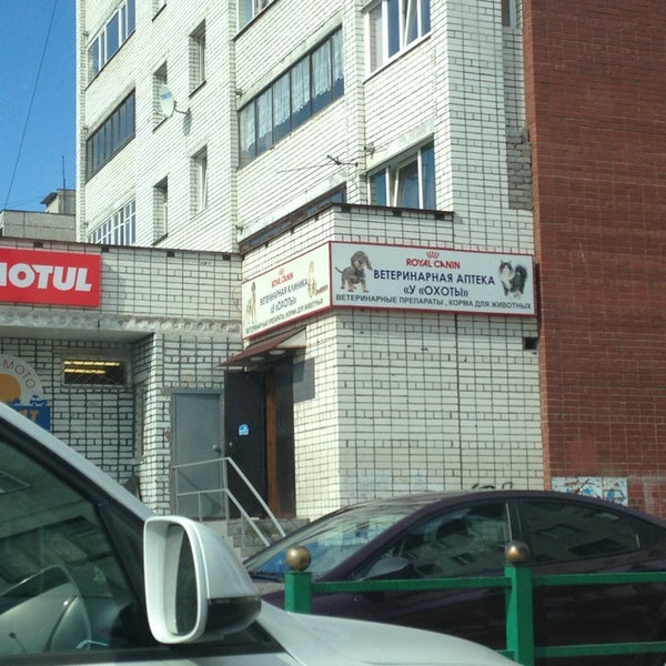 Кошачьи тропы