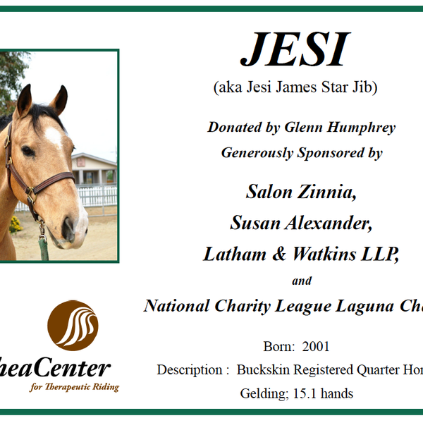 Salon Zinnia was honored for their support of the J F Shea Therapeutic Riding Center - dedicated to improving the lives of people with disabilities through therapeutic horse-related programs.