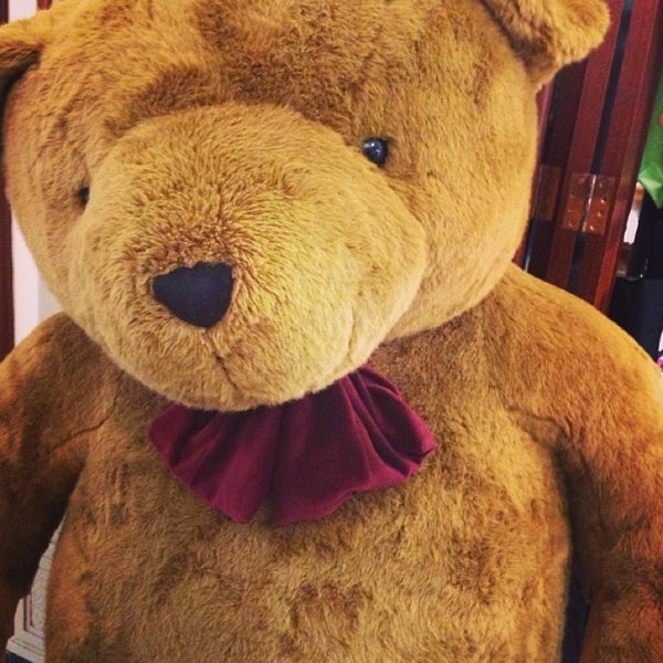 the teddy shop