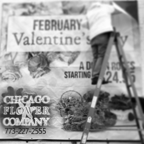 2/3/2013 tarihinde Stephen Z.ziyaretçi tarafından Chicago Flower Company'de çekilen fotoğraf