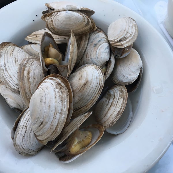 Steamers and fried clam bellies.