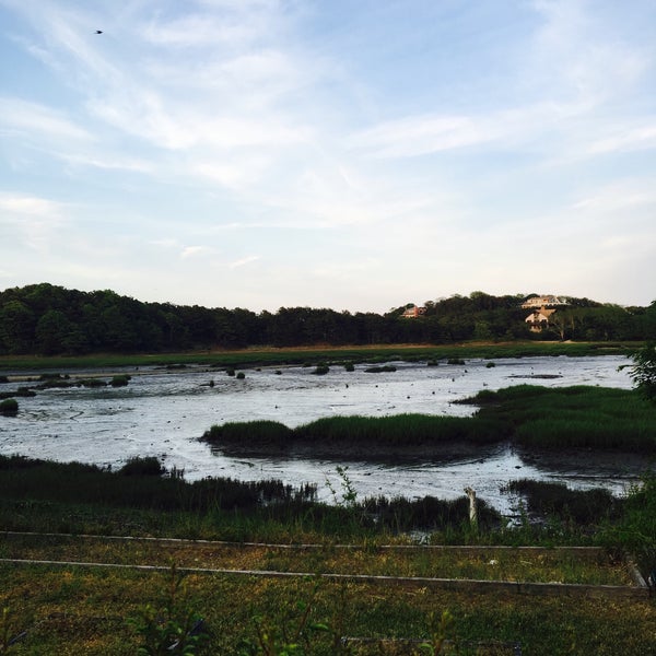 Wellfleet Town Pizza 4 tips from 102 visitors