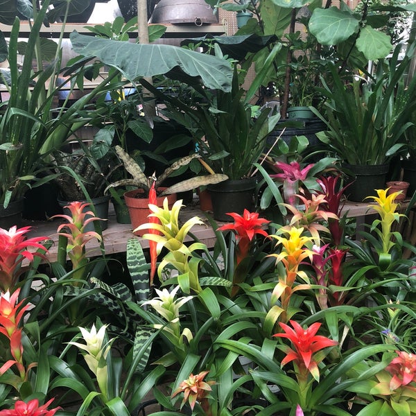 Photos at San Gabriel Nursery & Florist Garden Center