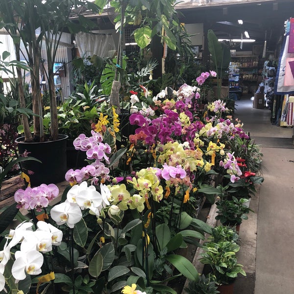 Photos at San Gabriel Nursery & Florist Garden Center