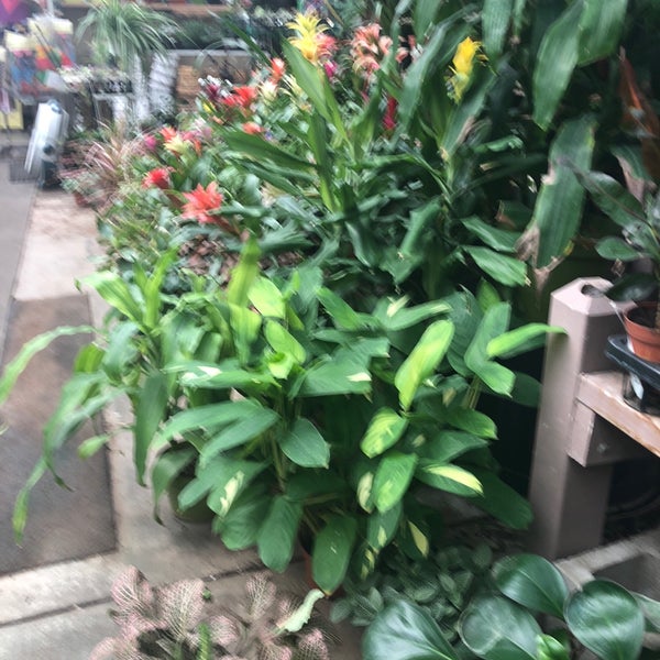 Photos at San Gabriel Nursery & Florist Garden Center