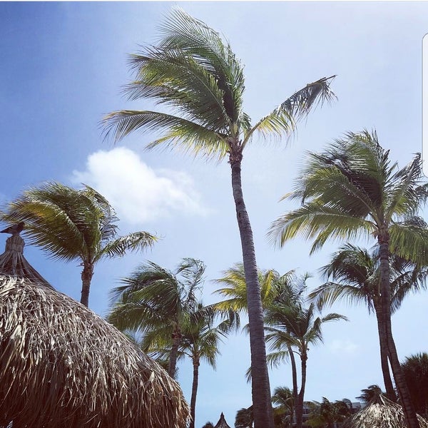6/14/2018에 Mihail T.님이 Renaissance Aruba Resort &amp; Casino에서 찍은 사진