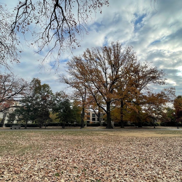 Photo taken at Meridian Hill Park by Yonas H. on 11/17/2021