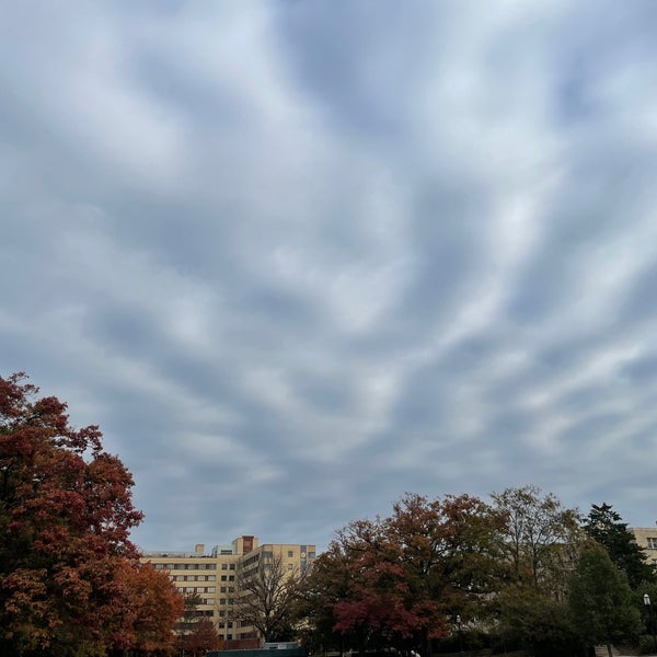 Photo taken at Meridian Hill Park by Yonas H. on 11/17/2021