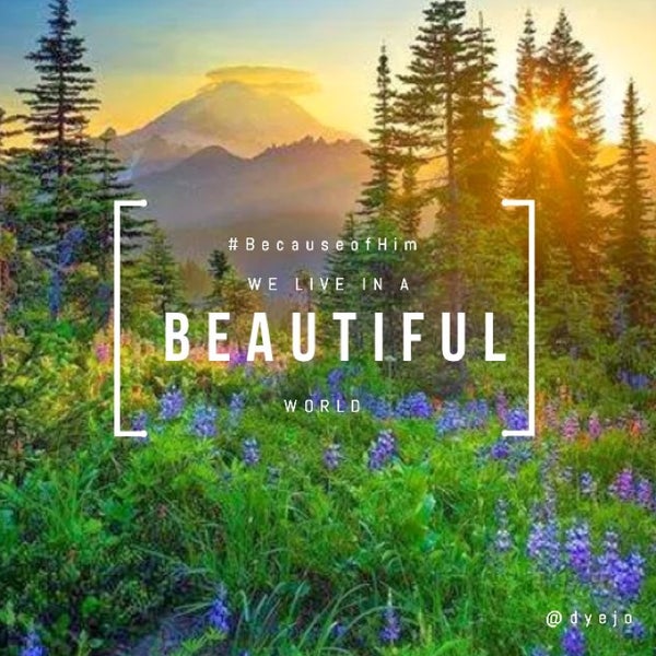 Garden memories в москве. English beautiful quotes. I live in a beautiful. About beauty of the life. цитаты на английском.