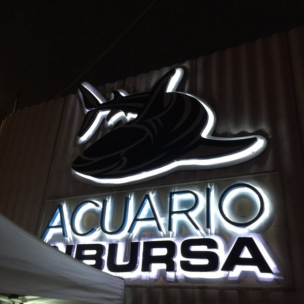 6/22/2015にMiguel L.がAcuario Inbursaで撮った写真