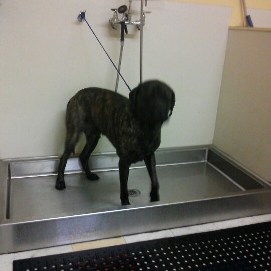 Burton's Total Pet Pet Supplies Store